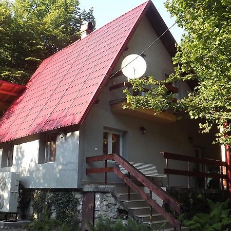 Casa De Oaspeti Boga Pietroasa  ภายนอก รูปภาพ